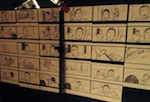 Story Boards for Black Luck